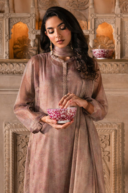 4 Piece - Stitched - Printed Shimmer Net Suit - MCP1719