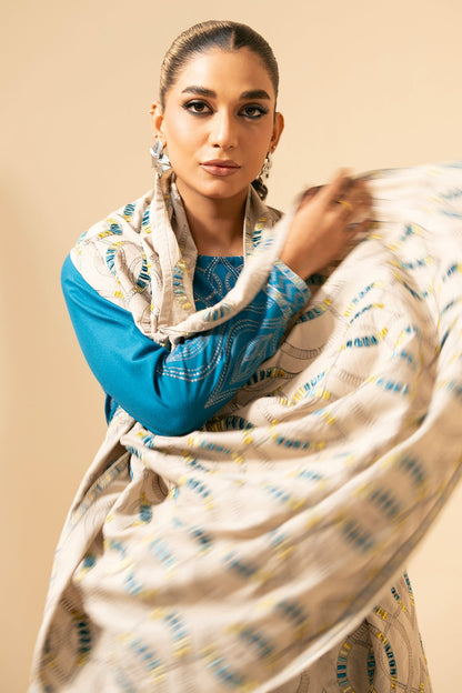 3 Piece - Unstitched - Embroidered Viscose Karandi Suit - E1456