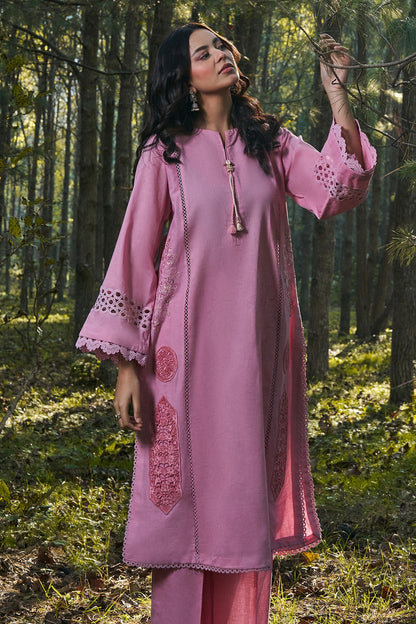2 Piece - Stitched - Embroidered Khaddar Suit - KPW25-P3767