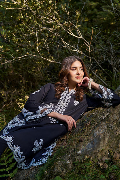 2 Piece - Stitched - Embroidered Linen Suit - KPW25-P3692