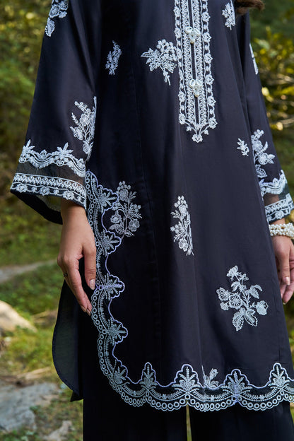 2 Piece - Stitched - Embroidered Linen Suit - KPW25-P3692