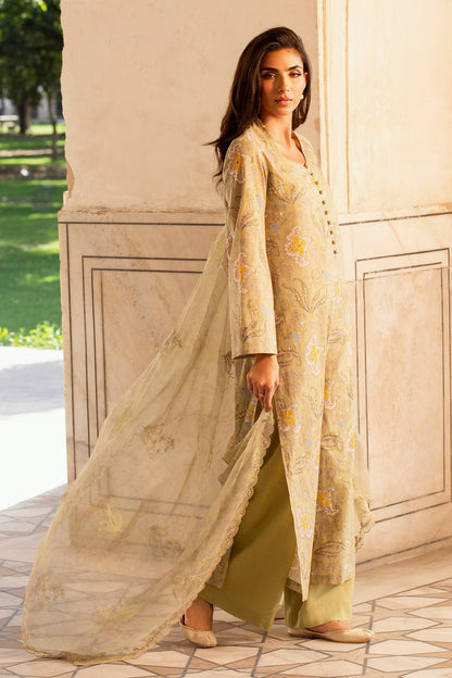3 Piece - Unstitched - Printed & Embroidered Khaddar Suit - MC2100